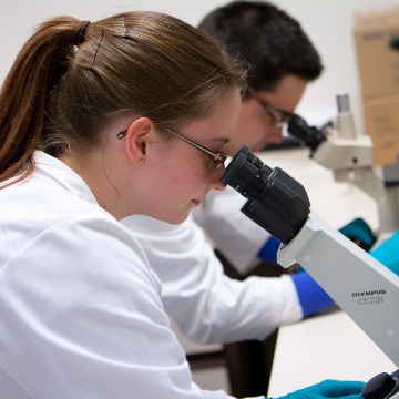 Doctoral Degree in Medicines and Health